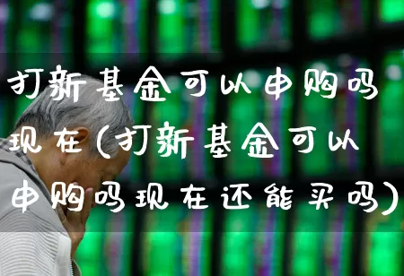 打新基金可以申购吗现在(打新基金可以申购吗现在还能买吗)_https://www.wanyuyiyao.com_创业板_第1张