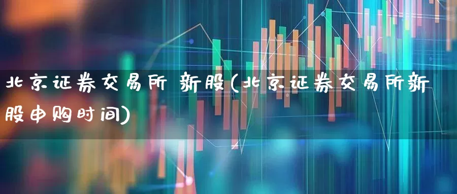 北京证券交易所 新股(北京证券交易所新股申购时间)_https://www.wanyuyiyao.com_上交所_第1张