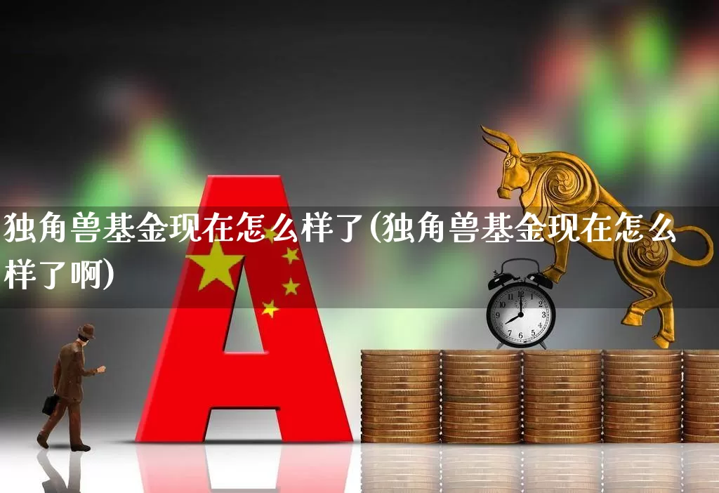 独角兽基金现在怎么样了(独角兽基金现在怎么样了啊)_https://www.wanyuyiyao.com_深交所_第1张