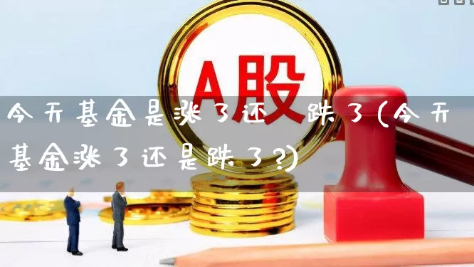 今天基金是涨了还昰跌了(今天基金涨了还是跌了?)_https://www.wanyuyiyao.com_深交所_第1张