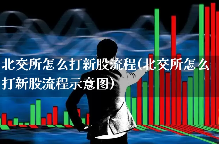 北交所怎么打新股流程(北交所怎么打新股流程示意图)_https://www.wanyuyiyao.com_科创板_第1张