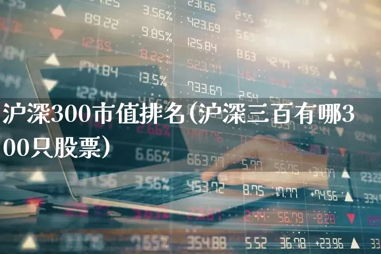 沪深300市值排名(沪深三百有哪300只股票)_https://www.wanyuyiyao.com_创业板_第1张