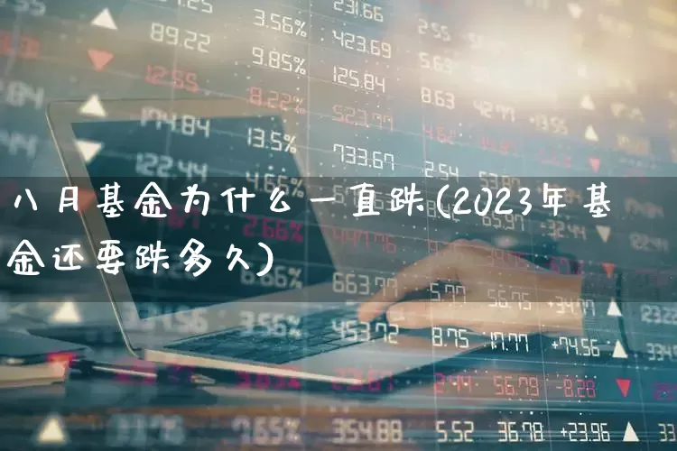 八月基金为什么一直跌(2023年基金还要跌多久)_https://www.wanyuyiyao.com_创业板_第1张