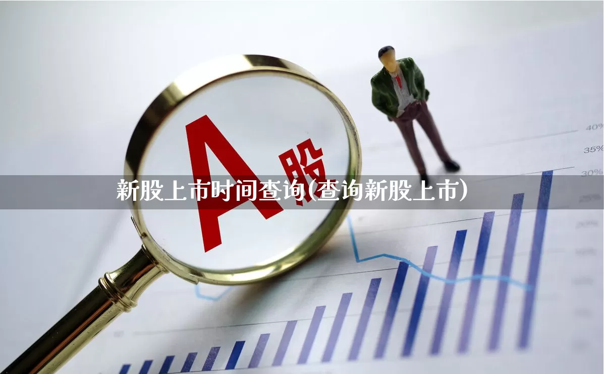 新股上市时间查询(查询新股上市)_https://www.wanyuyiyao.com_上交所_第1张
