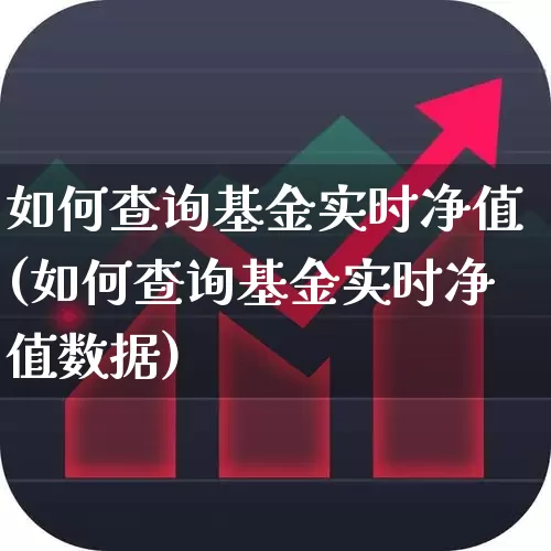 如何查询基金实时净值(如何查询基金实时净值数据)_https://www.wanyuyiyao.com_上交所_第1张