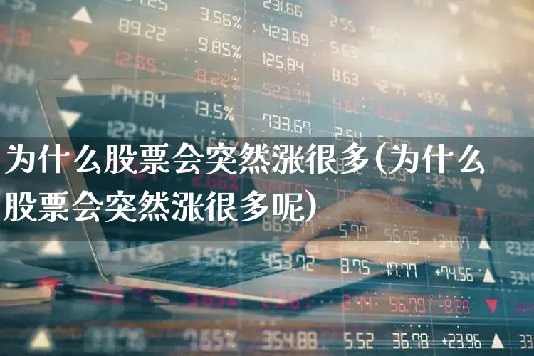为什么股票会突然涨很多(为什么股票会突然涨很多呢)_https://www.wanyuyiyao.com_上交所_第1张