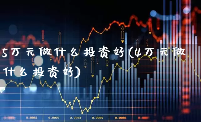 5万元做什么投资好(4万元做什么投资好)_https://www.wanyuyiyao.com_北交所_第1张