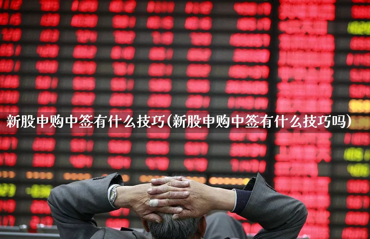 新股申购中签有什么技巧(新股申购中签有什么技巧吗)_https://www.wanyuyiyao.com_深交所_第1张