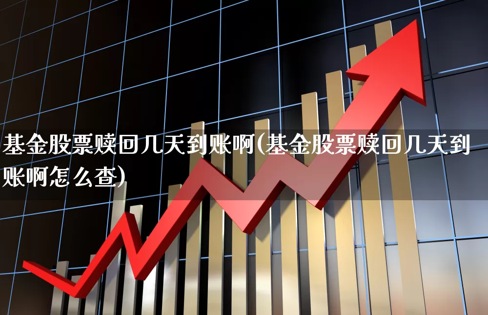 基金股票赎回几天到账啊(基金股票赎回几天到账啊怎么查)_https://www.wanyuyiyao.com_上交所_第1张