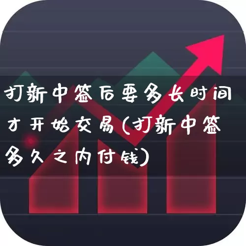 打新中签后要多长时间才开始交易(打新中签多久之内付钱)_https://www.wanyuyiyao.com_深交所_第1张