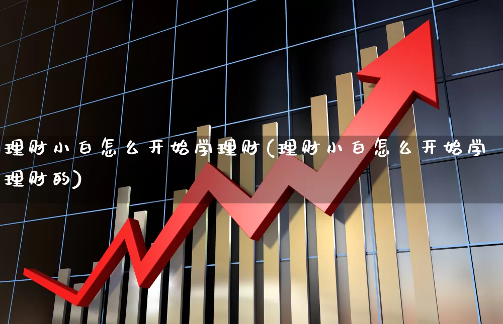 理财小白怎么开始学理财(理财小白怎么开始学理财的)_https://www.wanyuyiyao.com_科创板_第1张