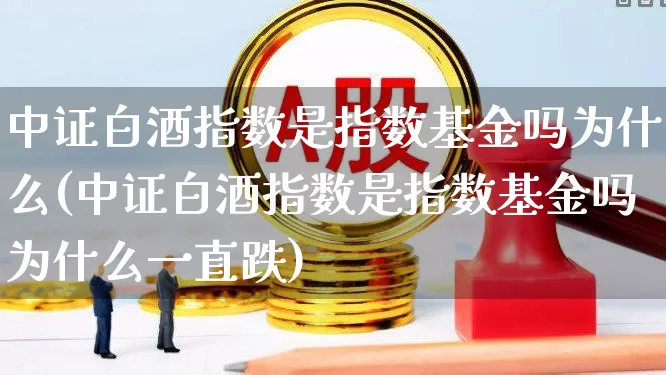 中证白酒指数是指数基金吗为什么(中证白酒指数是指数基金吗为什么一直跌)_https://www.wanyuyiyao.com_北交所_第1张