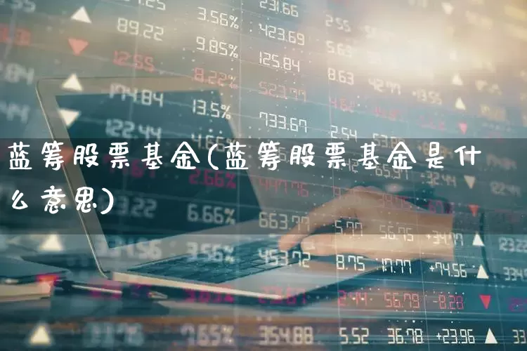 蓝筹股票基金(蓝筹股票基金是什么意思)_https://www.wanyuyiyao.com_创业板_第1张