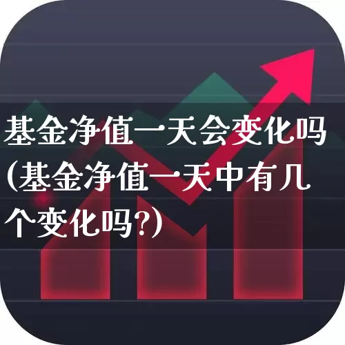 基金净值一天会变化吗(基金净值一天中有几个变化吗?)_https://www.wanyuyiyao.com_创业板_第1张