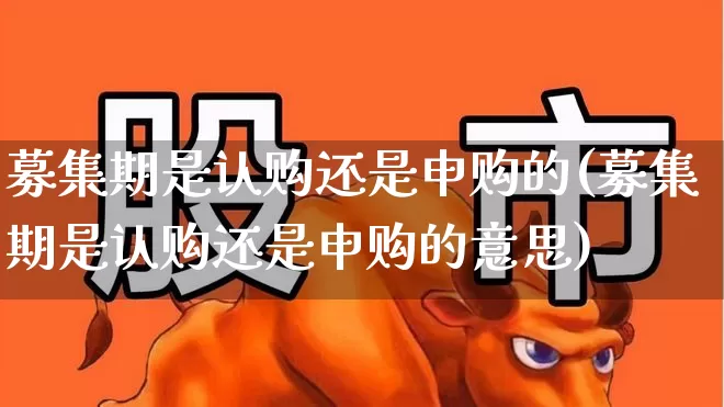 募集期是认购还是申购的(募集期是认购还是申购的意思)_https://www.wanyuyiyao.com_深交所_第1张