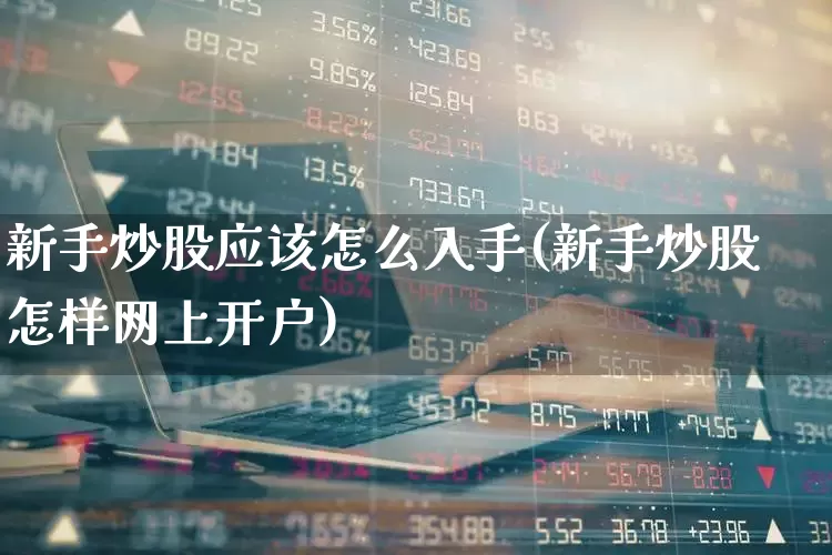 新手炒股应该怎么入手(新手炒股怎样网上开户)_https://www.wanyuyiyao.com_上交所_第1张