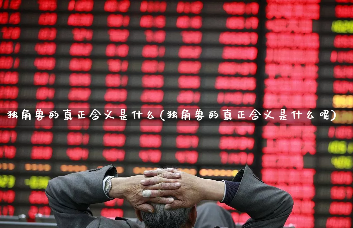 独角兽的真正含义是什么(独角兽的真正含义是什么呢)_https://www.wanyuyiyao.com_北交所_第1张