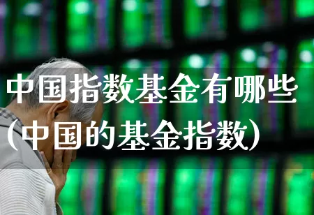 中国指数基金有哪些(中国的基金指数)_https://www.wanyuyiyao.com_科创板_第1张