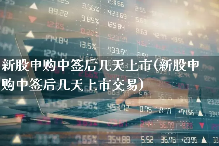 新股申购中签后几天上市(新股申购中签后几天上市交易)_https://www.wanyuyiyao.com_深交所_第1张