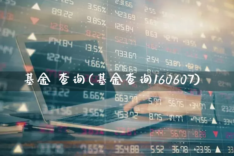 基金 查询(基金查询160607)_https://www.wanyuyiyao.com_深交所_第1张