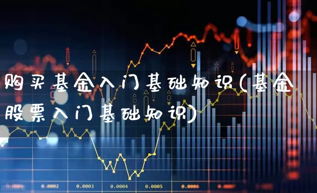 购买基金入门基础知识(基金股票入门基础知识)_https://www.wanyuyiyao.com_上交所_第1张