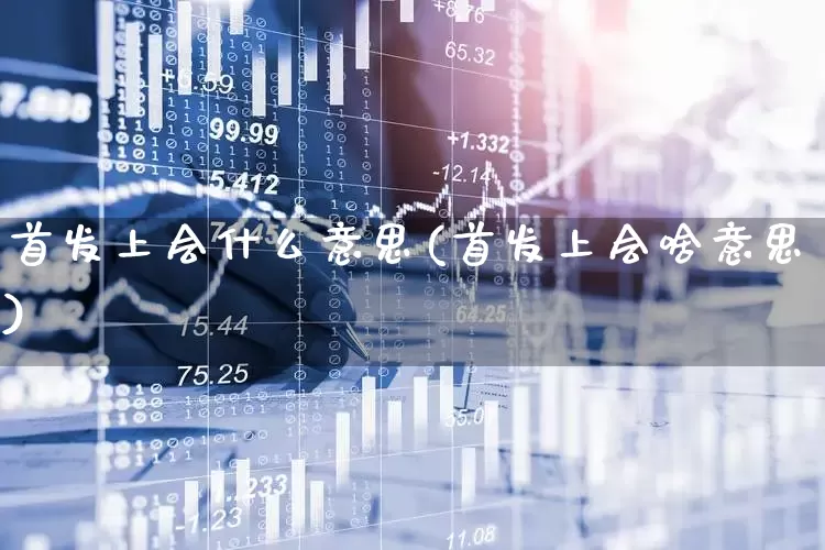 首发上会什么意思(首发上会啥意思)_https://www.wanyuyiyao.com_创业板_第1张