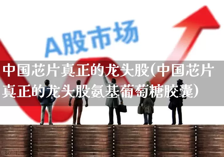 中国芯片真正的龙头股(中国芯片真正的龙头股氨基葡萄糖胶囊)_https://www.wanyuyiyao.com_创业板_第1张