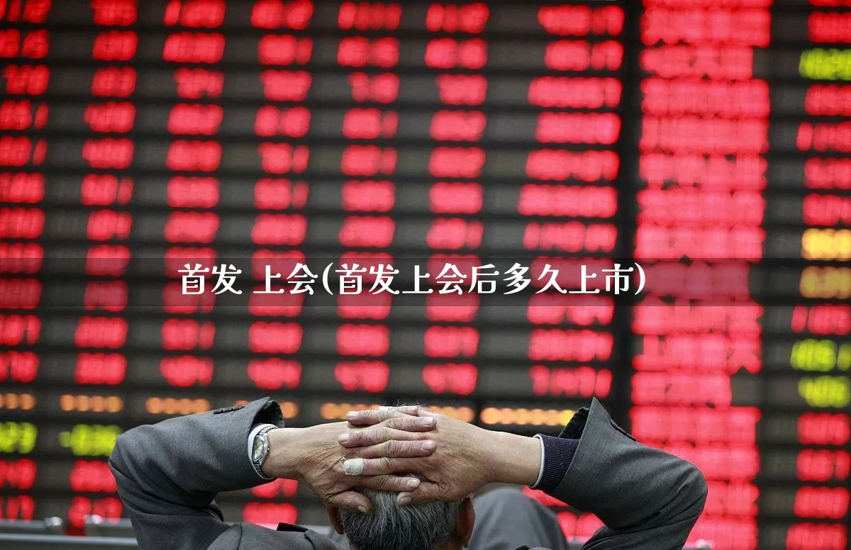 首发 上会(首发上会后多久上市)_https://www.wanyuyiyao.com_科创板_第1张