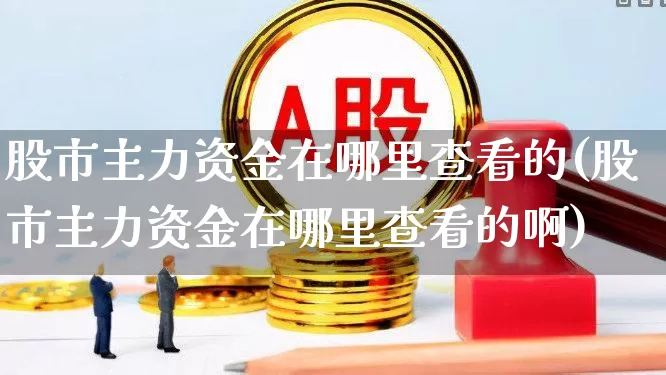 股市主力资金在哪里查看的(股市主力资金在哪里查看的啊)_https://www.wanyuyiyao.com_上交所_第1张