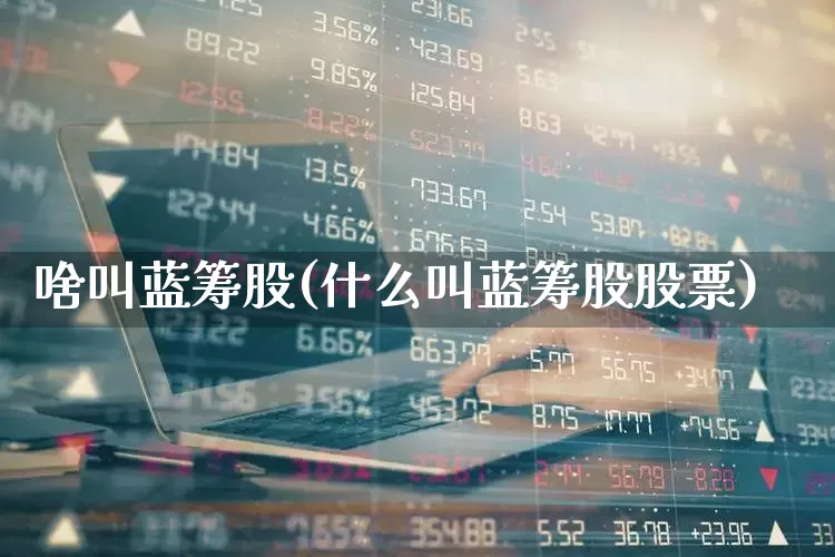 啥叫蓝筹股(什么叫蓝筹股股票)_https://www.wanyuyiyao.com_上交所_第1张