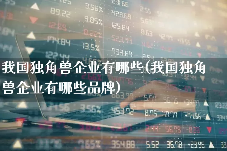 我国独角兽企业有哪些(我国独角兽企业有哪些品牌)_https://www.wanyuyiyao.com_北交所_第1张