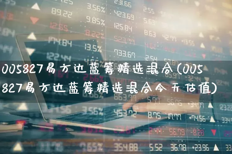 005827易方达蓝筹精选混合(005827易方达蓝筹精选混合今天估值)_https://www.wanyuyiyao.com_上交所_第1张