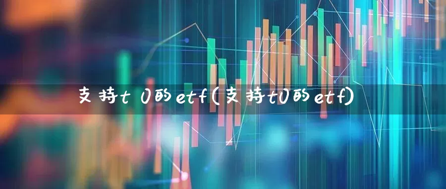 支持t 0的etf(支持t0的etf)_https://www.wanyuyiyao.com_北交所_第1张
