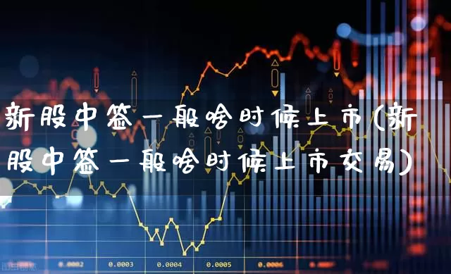 新股中签一般啥时候上市(新股中签一般啥时候上市交易)_https://www.wanyuyiyao.com_北交所_第1张