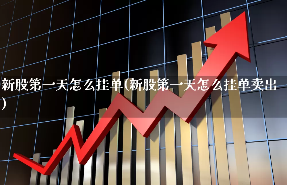 新股第一天怎么挂单(新股第一天怎么挂单卖出)_https://www.wanyuyiyao.com_上交所_第1张