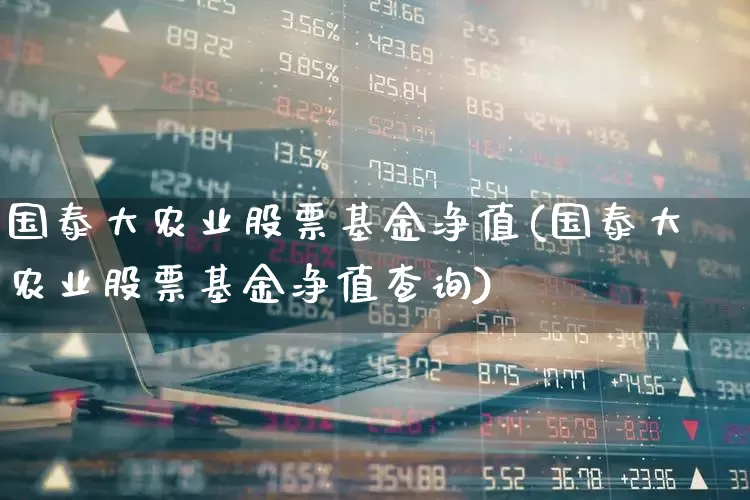 国泰大农业股票基金净值(国泰大农业股票基金净值查询)_https://www.wanyuyiyao.com_北交所_第1张