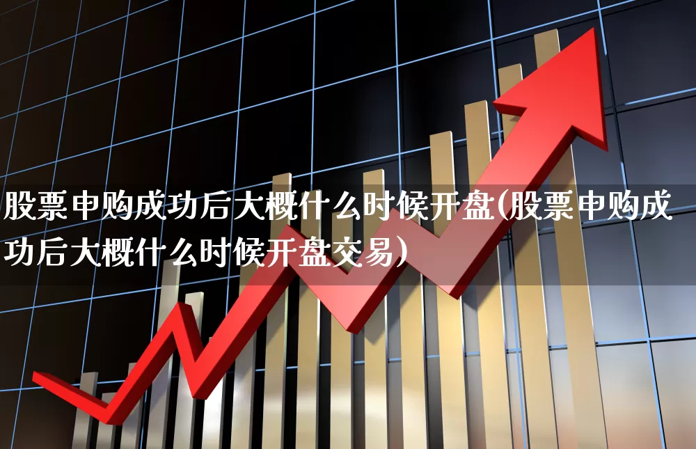 股票申购成功后大概什么时候开盘(股票申购成功后大概什么时候开盘交易)_https://www.wanyuyiyao.com_深交所_第1张