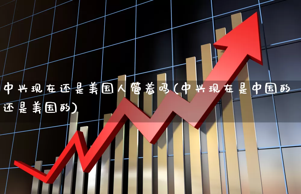中兴现在还是美国人管着吗(中兴现在是中国的还是美国的)_https://www.wanyuyiyao.com_创业板_第1张