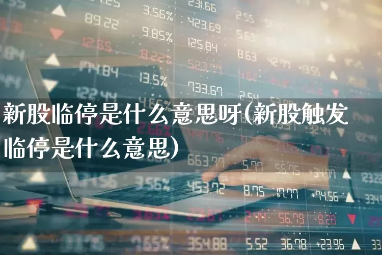 新股临停是什么意思呀(新股触发临停是什么意思)_https://www.wanyuyiyao.com_科创板_第1张