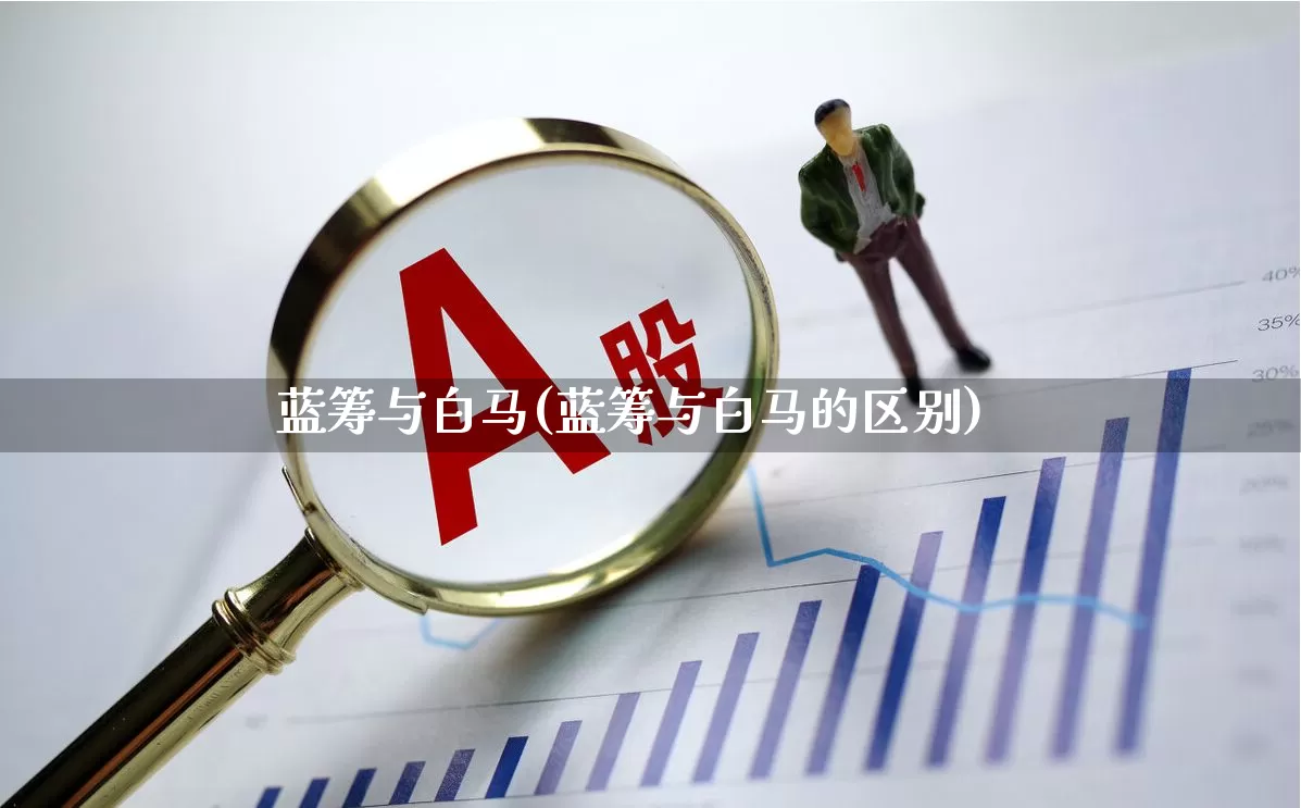 蓝筹与白马(蓝筹与白马的区别)_https://www.wanyuyiyao.com_科创板_第1张