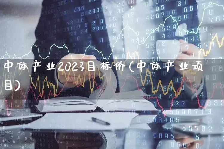 中体产业2023目标价(中体产业项目)_https://www.wanyuyiyao.com_科创板_第1张