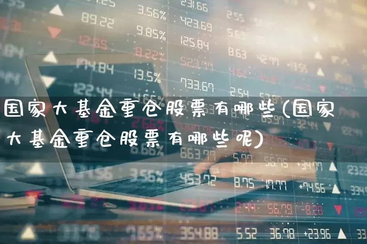 国家大基金重仓股票有哪些(国家大基金重仓股票有哪些呢)_https://www.wanyuyiyao.com_深交所_第1张