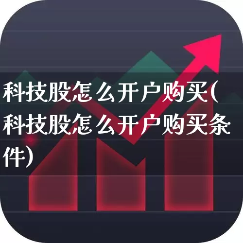 科技股怎么开户购买(科技股怎么开户购买条件)_https://www.wanyuyiyao.com_深交所_第1张