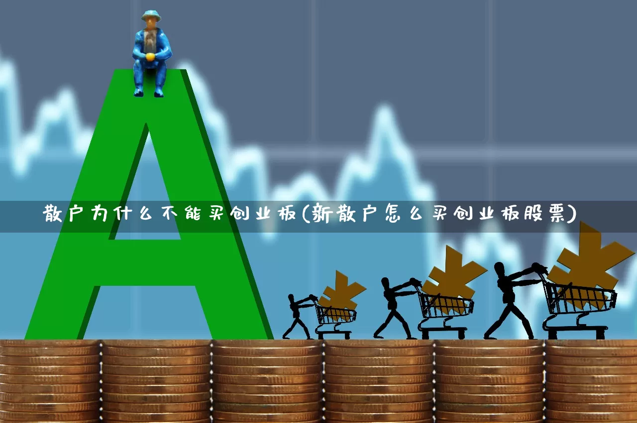 散户为什么不能买创业板(新散户怎么买创业板股票)_https://www.wanyuyiyao.com_深交所_第1张