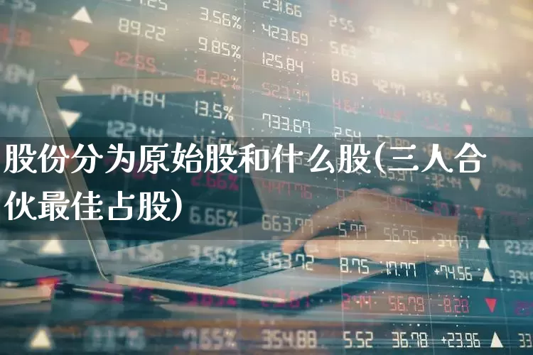 股份分为原始股和什么股(三人合伙最佳占股)_https://www.wanyuyiyao.com_科创板_第1张