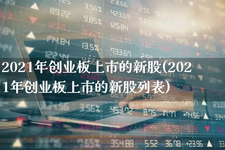 2021年创业板上市的新股(2021年创业板上市的新股列表)_https://www.wanyuyiyao.com_深交所_第1张