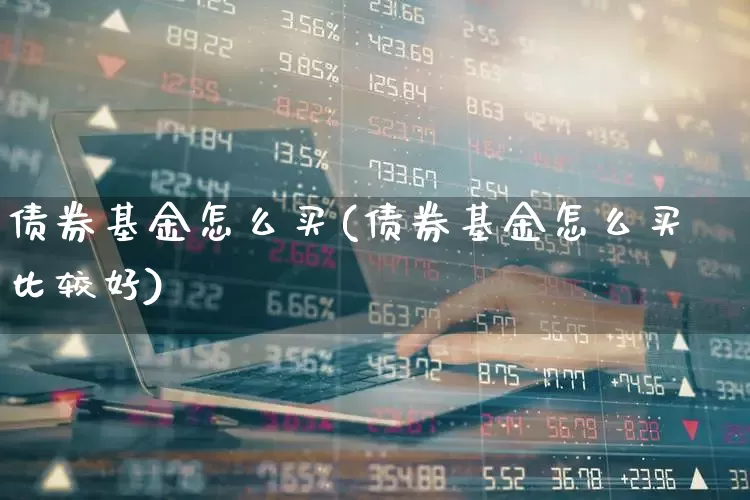 债券基金怎么买(债券基金怎么买比较好)_https://www.wanyuyiyao.com_上交所_第1张