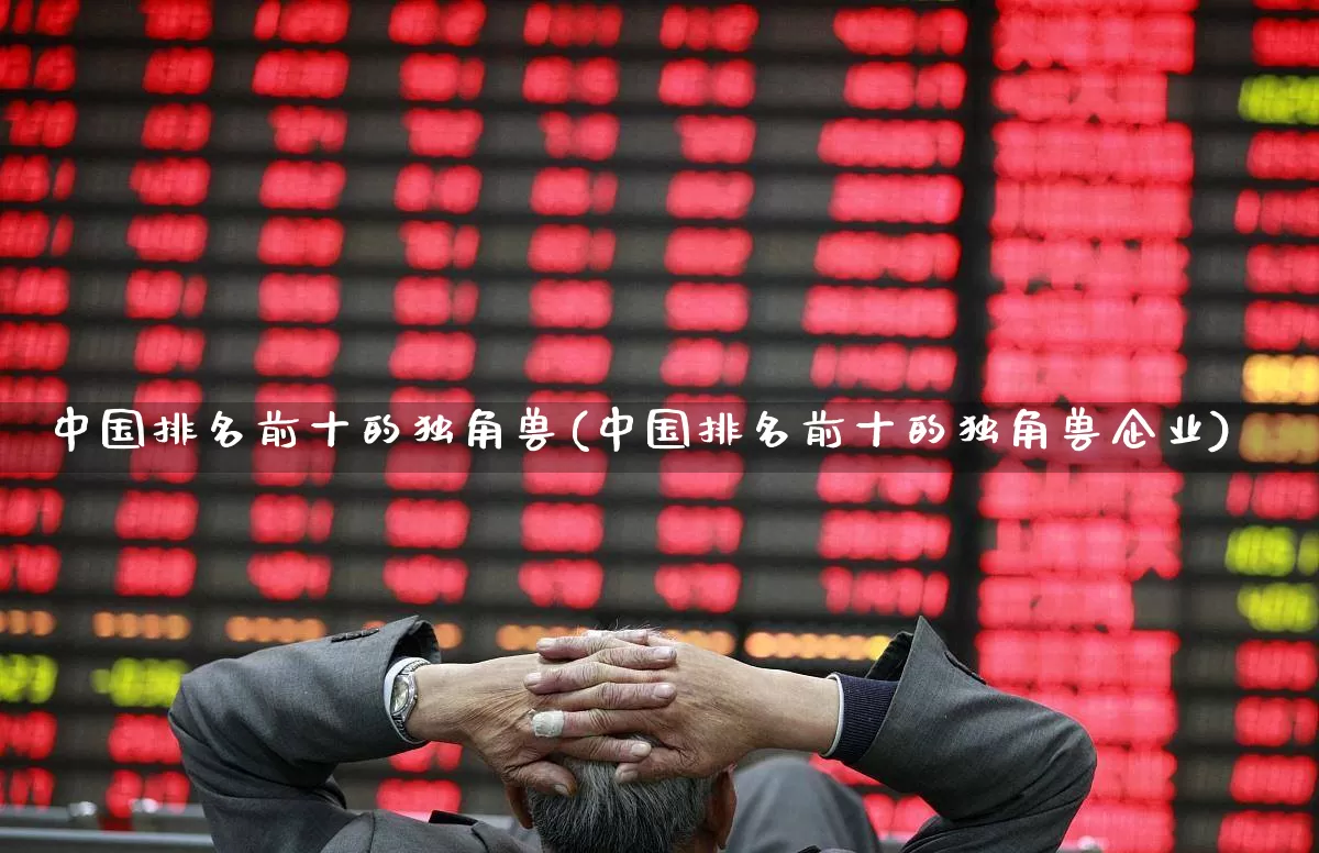 中国排名前十的独角兽(中国排名前十的独角兽企业)_https://www.wanyuyiyao.com_创业板_第1张