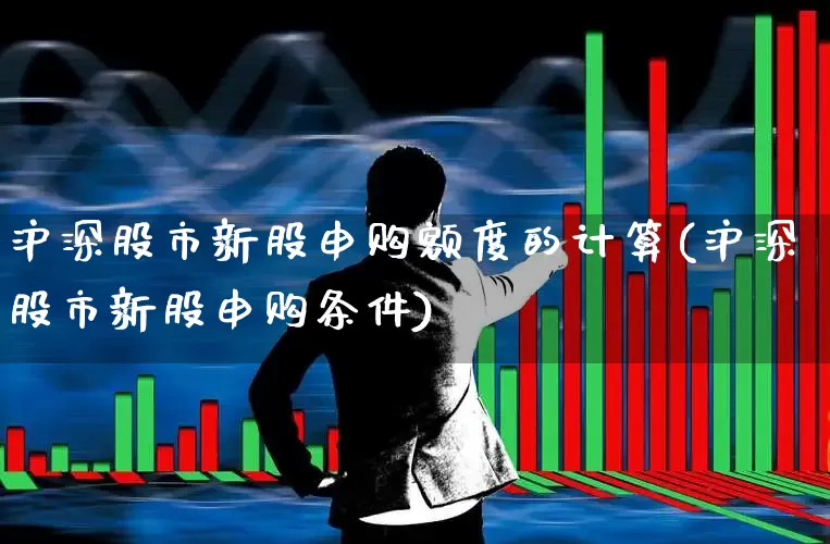 沪深股市新股申购额度的计算(沪深股市新股申购条件)_https://www.wanyuyiyao.com_北交所_第1张
