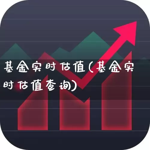 基金实时估值(基金实时估值查询)_https://www.wanyuyiyao.com_深交所_第1张